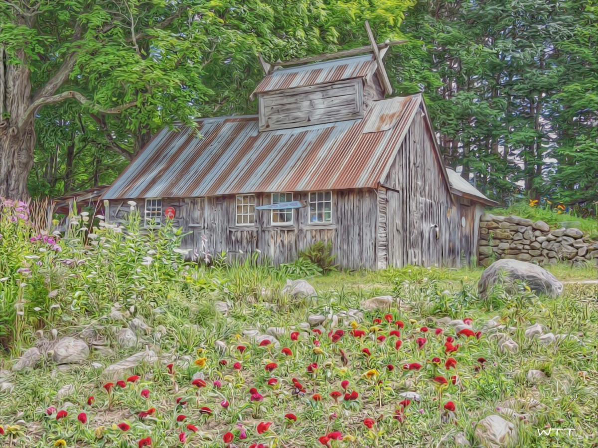 The Chipman Inn Ripton Exterior foto